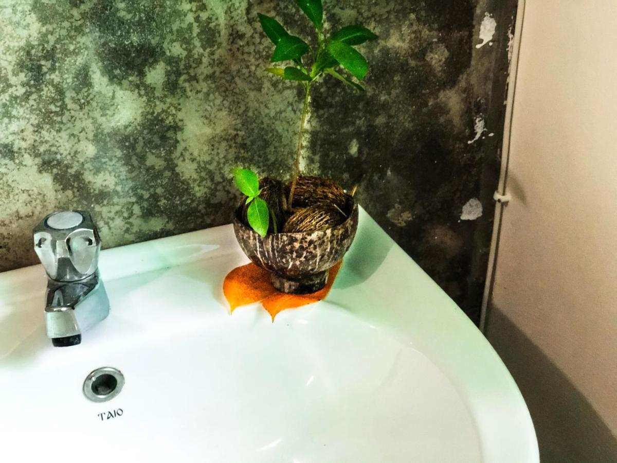 Circus Lagoon Hideaway Bed & Breakfast Dodanduwa Екстериор снимка